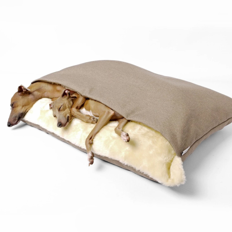 Alfombra para mascota