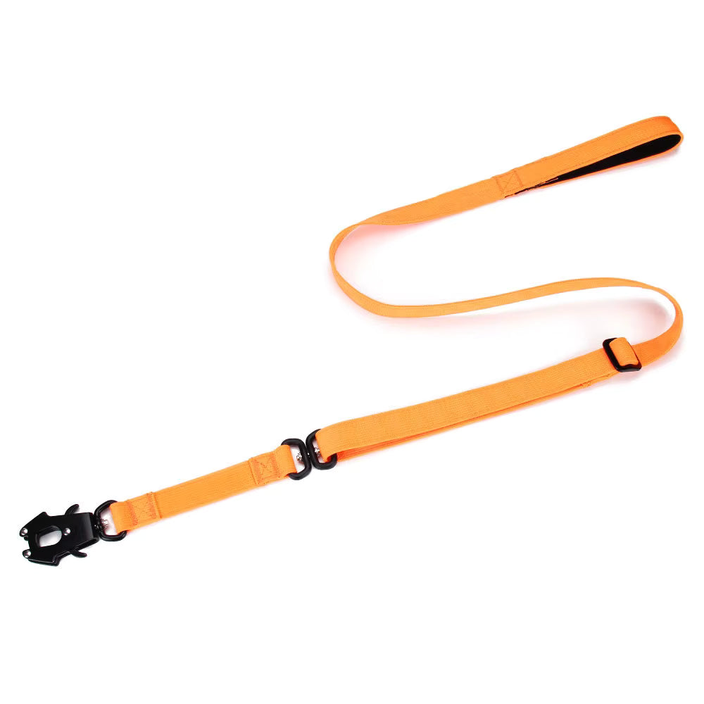 Correa de perro de nylon